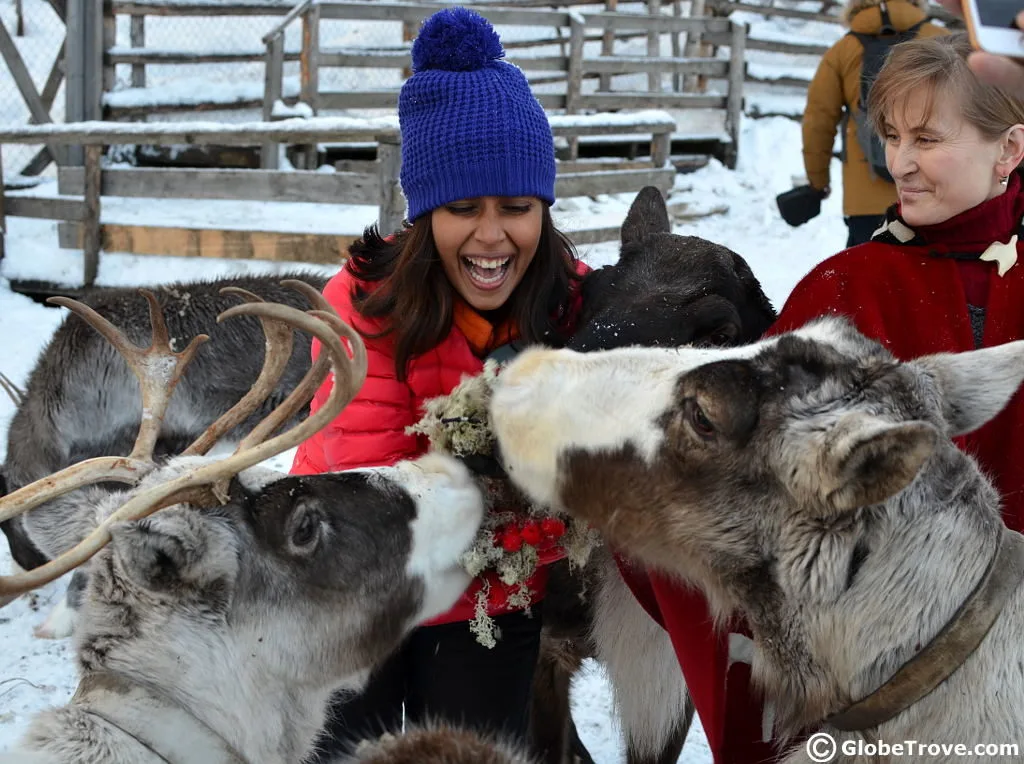 Sami village in Murmansk