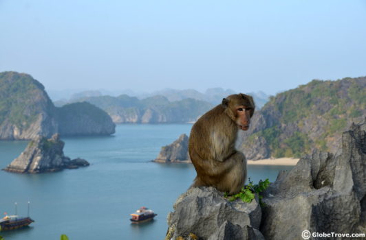 Cat Ba Island Travel Guide