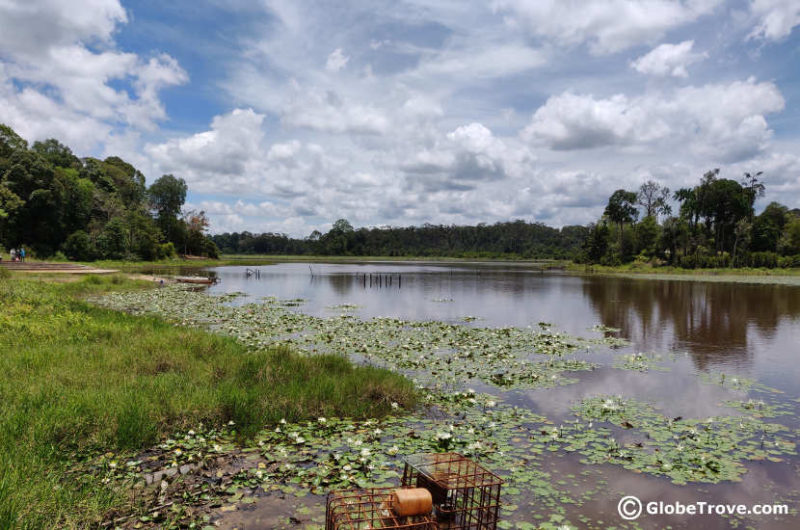 Tasek Merimbun Heritage Park: A Quiet Oasis In Brunei