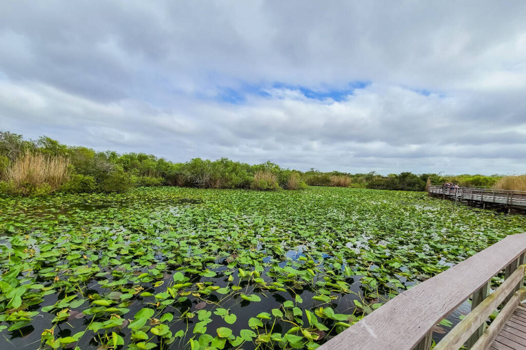 Everglades National Park is a gorgeous place to spend March in the USA.