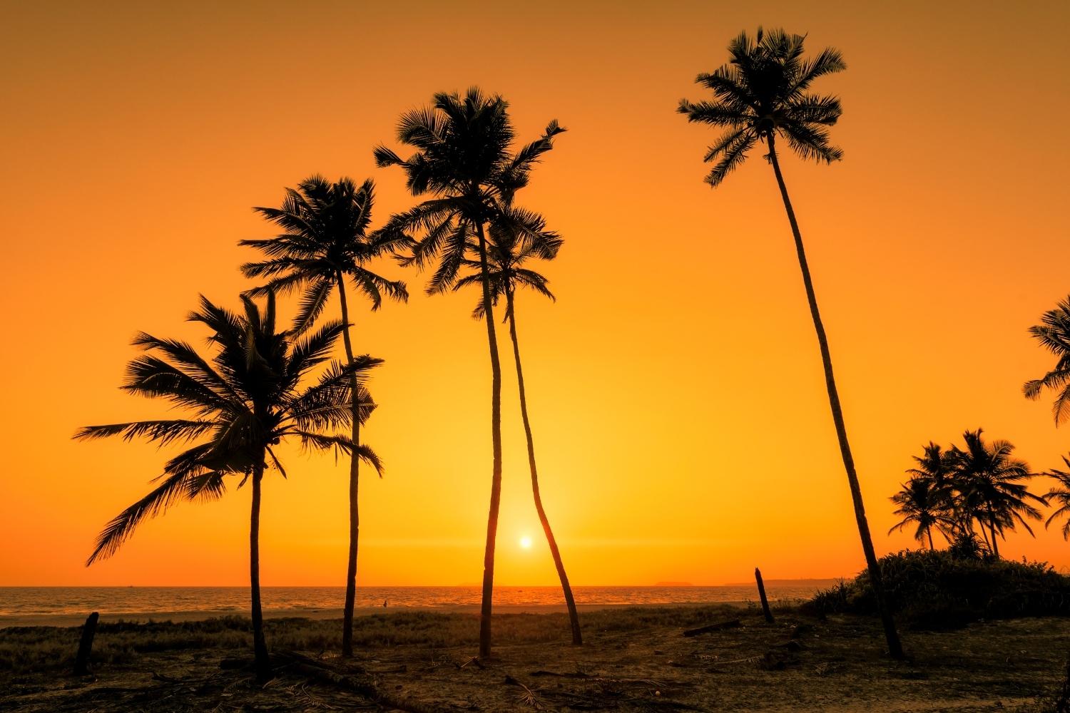 70 Captions And Quotes On Goa That Are Perfect For Instagram GlobeTrove