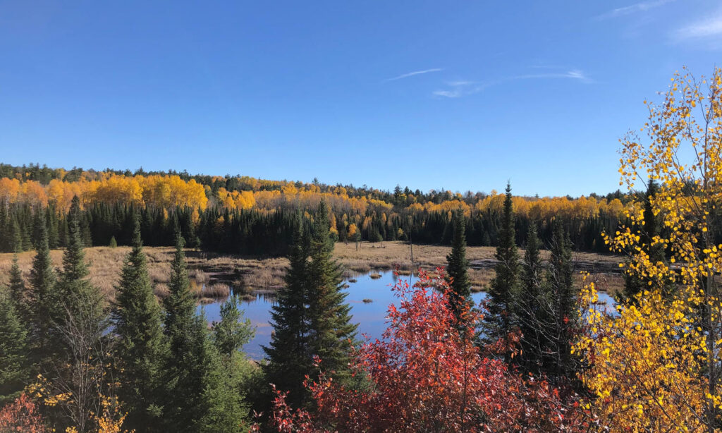 Did you know that one of the coolest things to do in Voyageurs National Park is to see the fall colors?