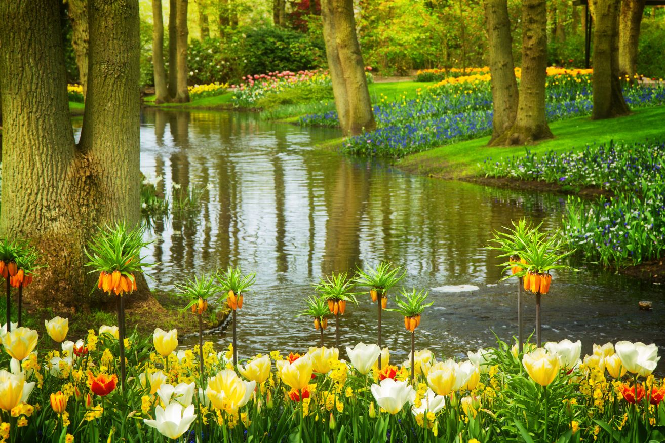 From Amsterdam To Keukenhof Gardens - By Train, Car & Tour - GlobeTrove