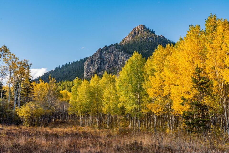 12 Best Campgrounds in Colorado, Perfect For Your Next Getaway - GlobeTrove