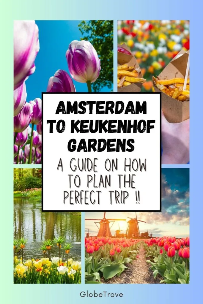 Amsterdam to Keukenhof gardens