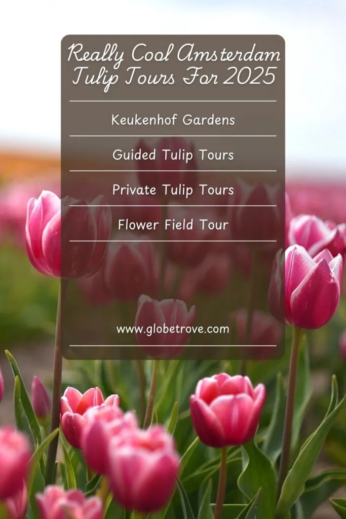 The best of the best Amsterdam Tulip tours