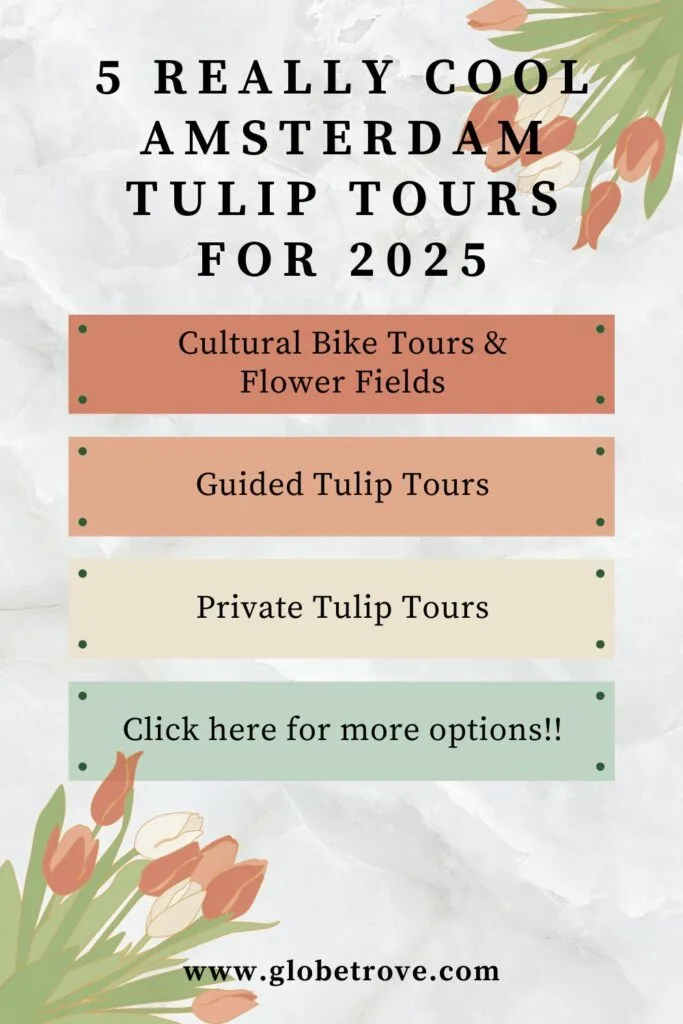 Amsterdam tulip tours