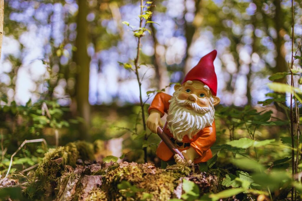 A kabouter or gnome in a garden